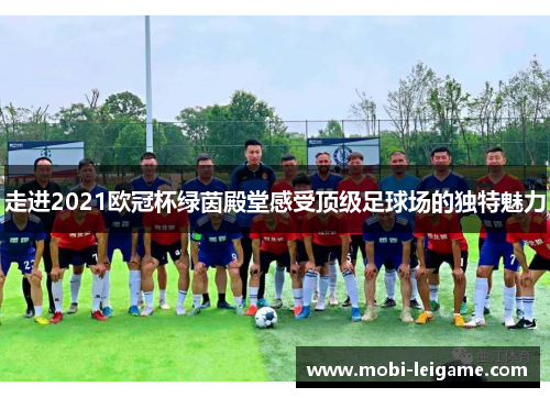 走进2021欧冠杯绿茵殿堂感受顶级足球场的独特魅力