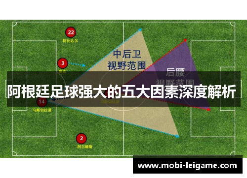 阿根廷足球强大的五大因素深度解析 