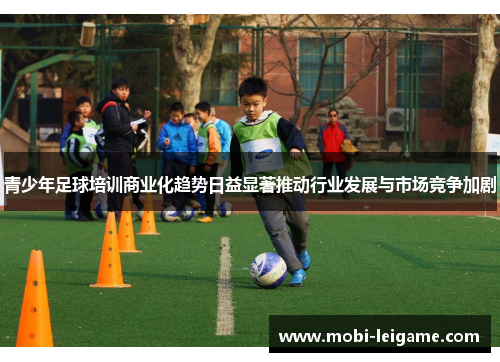 青少年足球培训商业化趋势日益显著推动行业发展与市场竞争加剧 青少年足球培训商业化趋势日益显著推动行业发展与市场竞争加剧