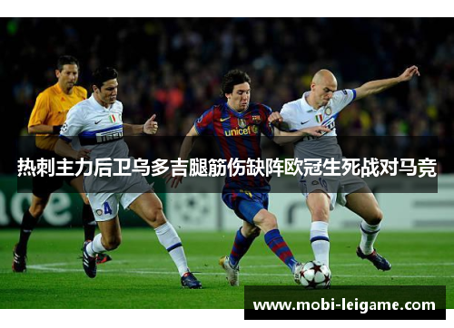 热刺主力后卫乌多吉腿筋伤缺阵欧冠生死战对马竞