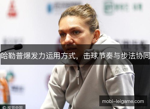 哈勒普爆发力运用方式，击球节奏与步法协同