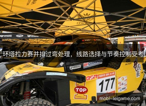 环塔拉力赛并排过弯处理，线路选择与节奏控制受考