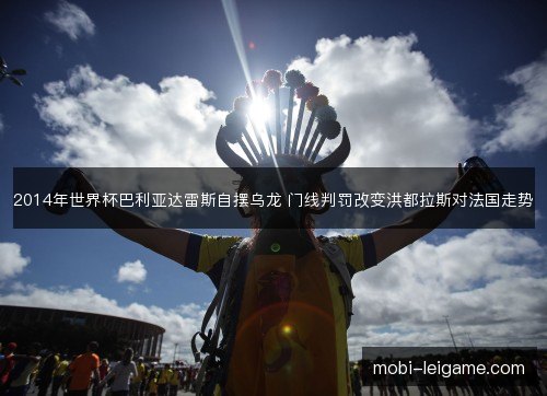 2014年世界杯巴利亚达雷斯自摆乌龙 门线判罚改变洪都拉斯对法国走势